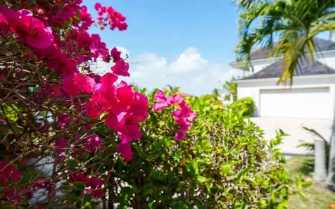 Jacaranda Estate Grand Bahama Freeport BS