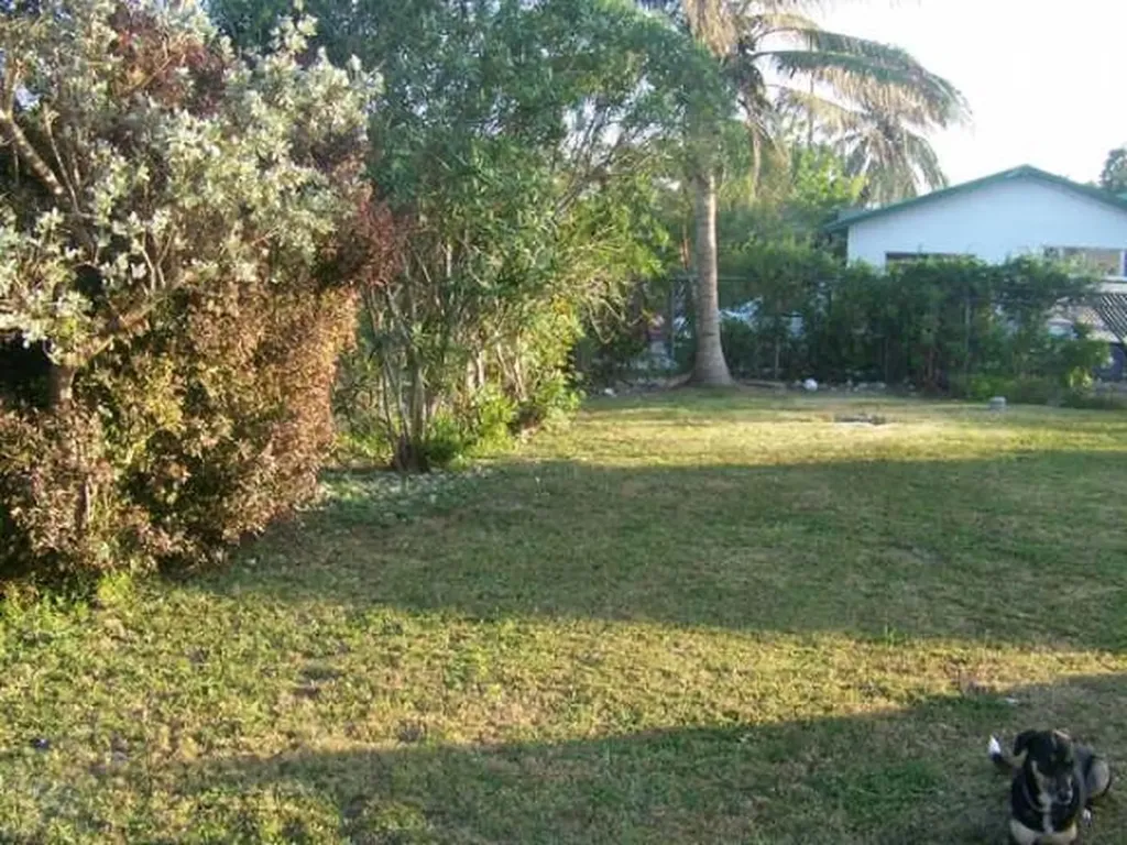 Tropical Gardens New Providence Paradise Island BS