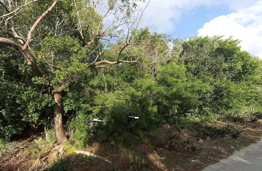 Lot R 27 Palmetto Shores Eleuthera BS