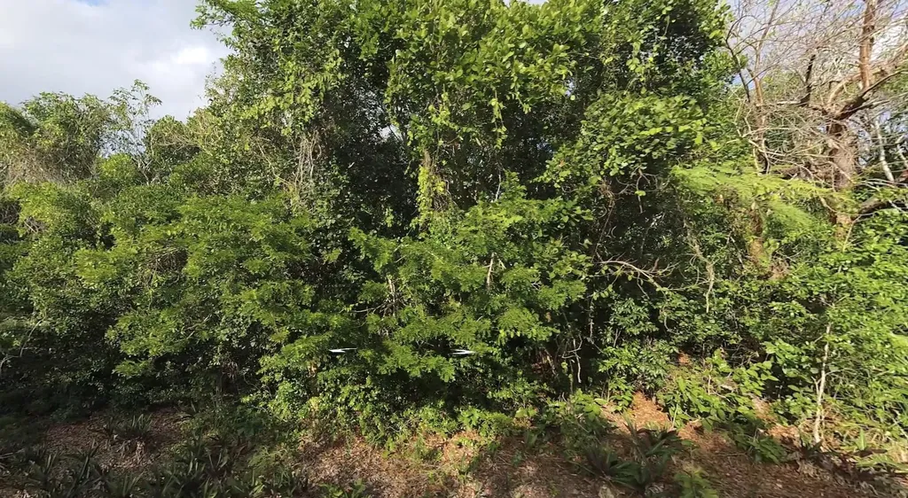 Lot R 27 Palmetto Shores Eleuthera BS