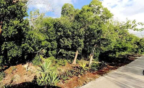Lot R 27 Palmetto Shores Eleuthera BS