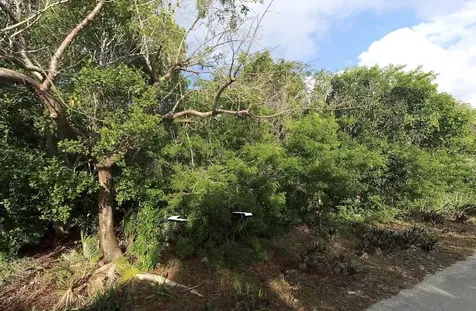 Lot R 27 Palmetto Shores Eleuthera BS