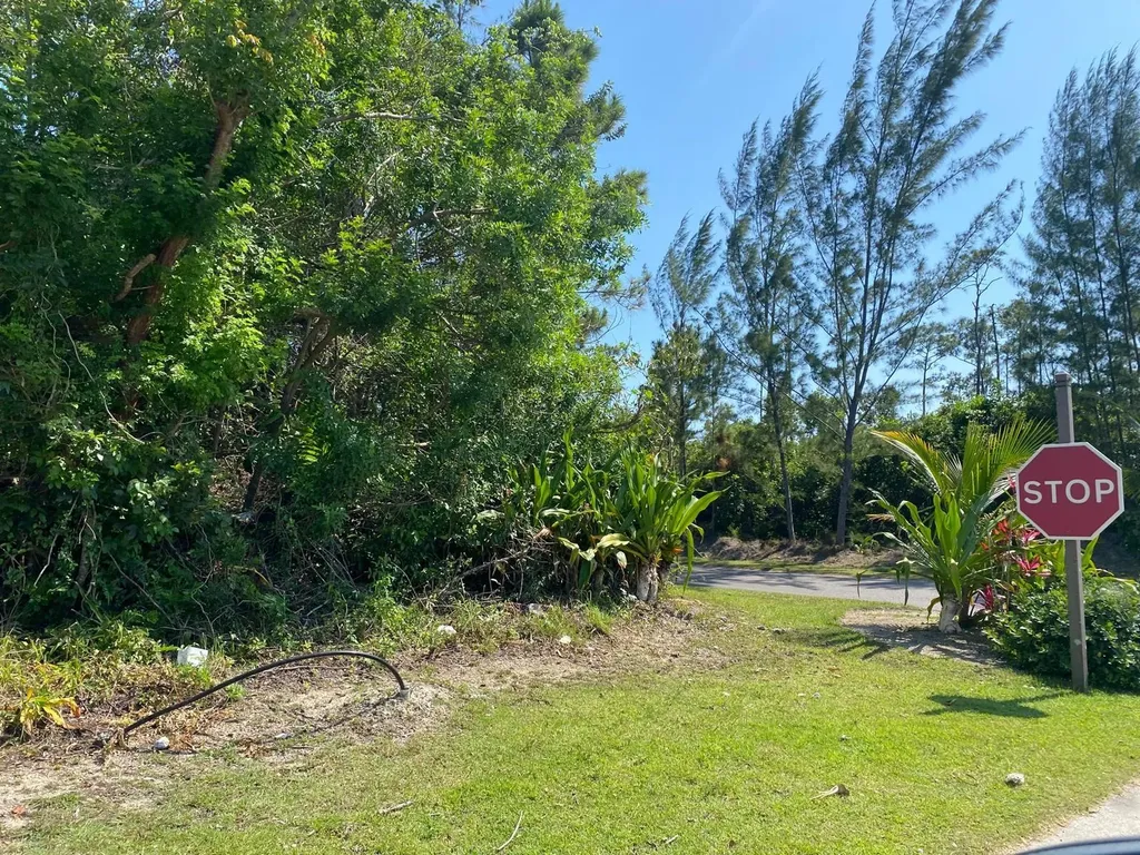 Tranquil Drive New Providence Paradise Island BS