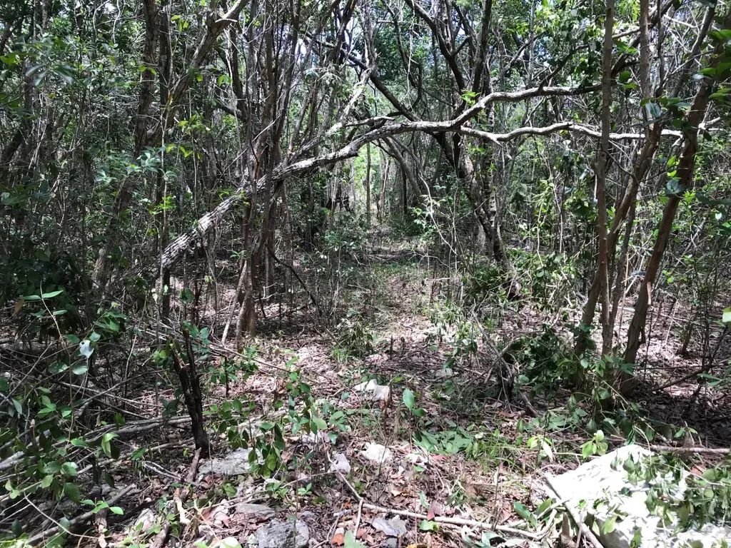 Rock Sound Lot# 4 Eleuth Eleuthera BS