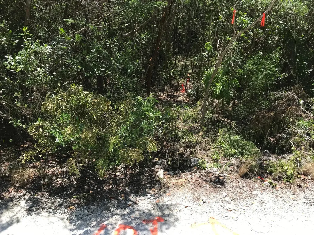 Rock Sound Lot# 4 Eleuth Eleuthera BS
