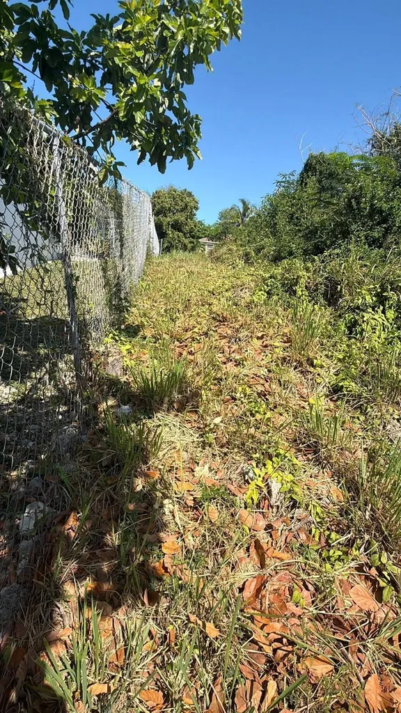 Snowbell Lane New Providence Paradise Island BS