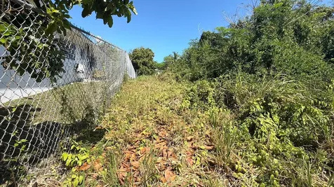 Snowbell Lane New Providence Paradise Island BS