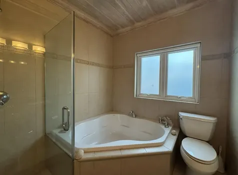 Lofty Twig New Providence Paradise Island BS