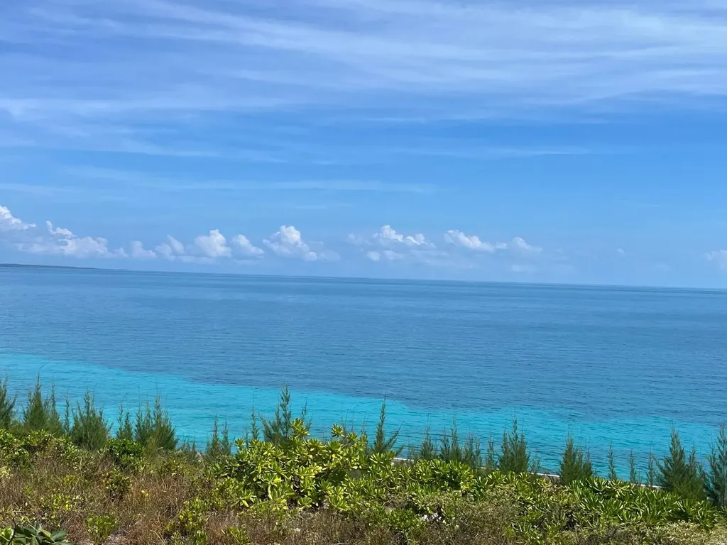 Wandering Shore Drive Eleuthera BS
