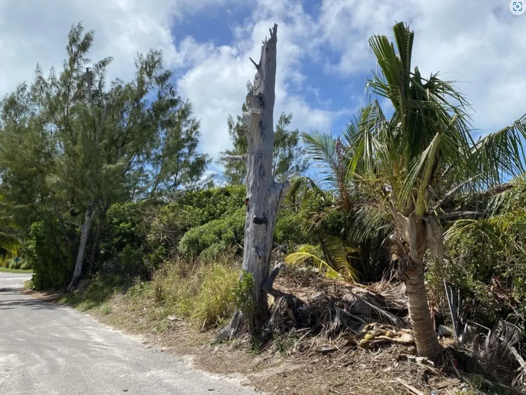 S.c. Bootle Highway, Abaco Abaco BS