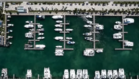 Palm Cay New Providence Paradise Island BS
