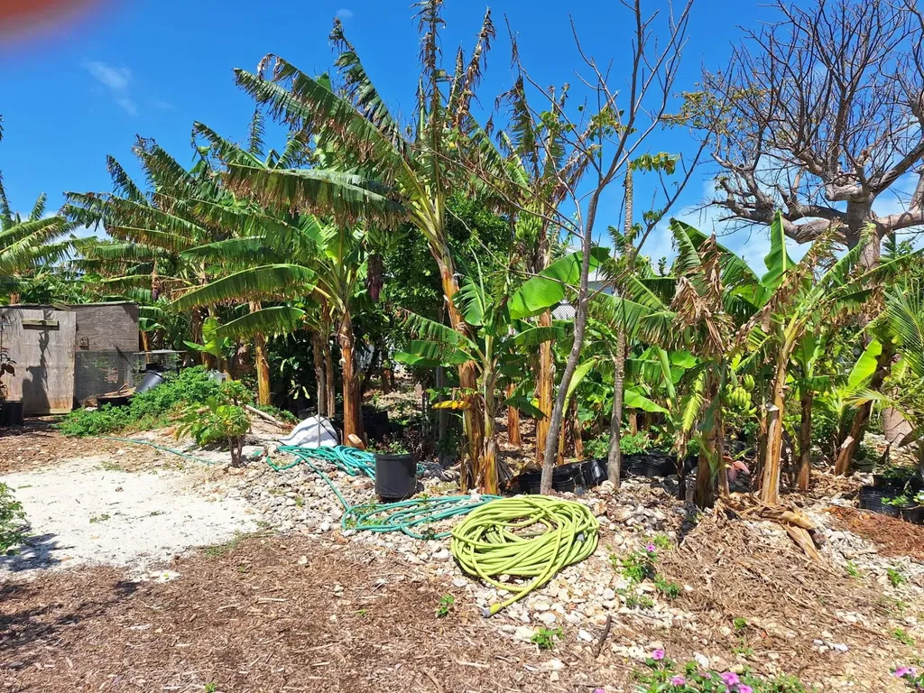 Man O War Cay Abaco BS