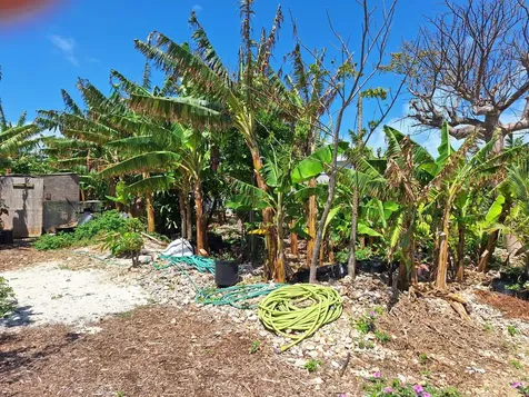 Man O War Cay Abaco BS