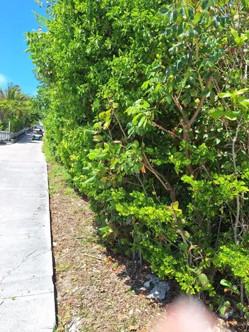 Man O War Cay Abaco BS