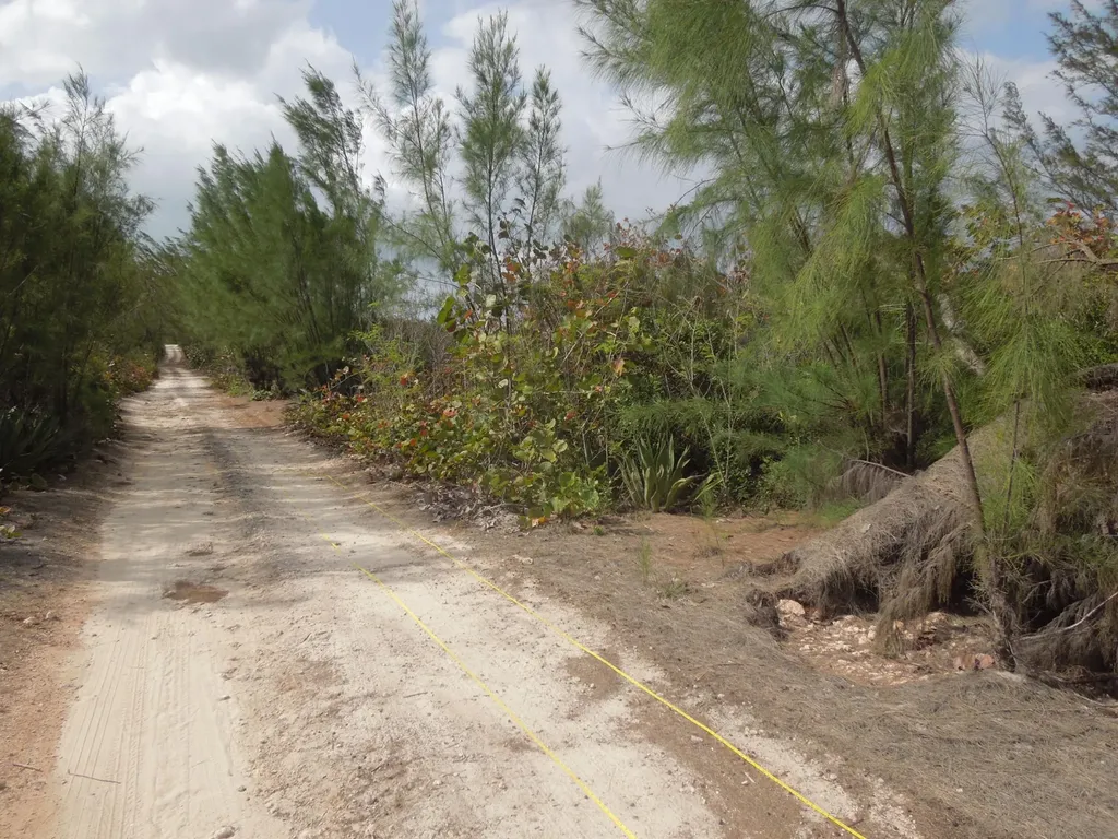 Whale Point Estates Eleuthera BS