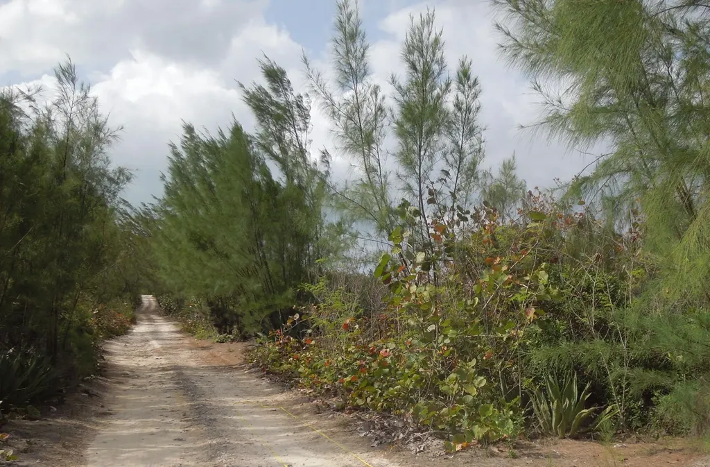 Whale Point Estates Eleuthera BS