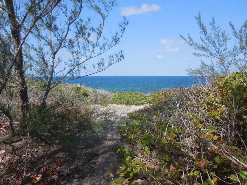 Whale Point Estates Eleuthera BS