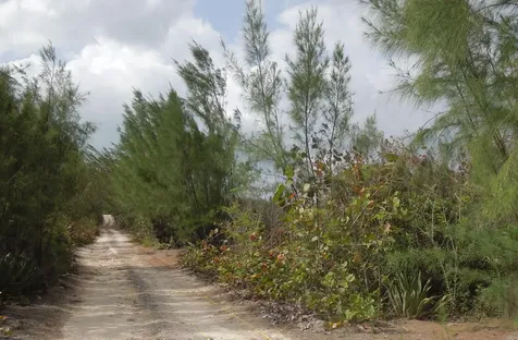 Whale Point Estates Eleuthera BS