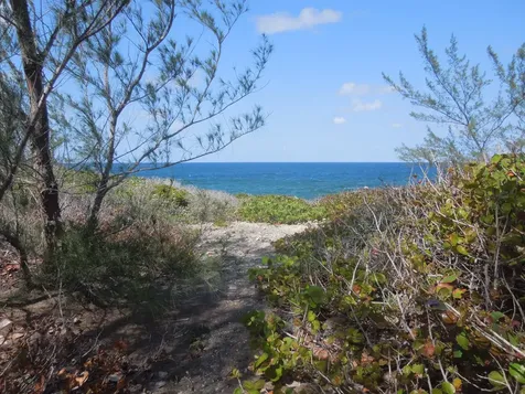 Whale Point Estates Eleuthera BS