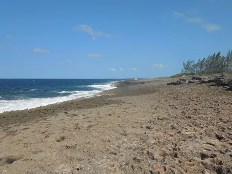 Whale Point Estates Eleuthera BS