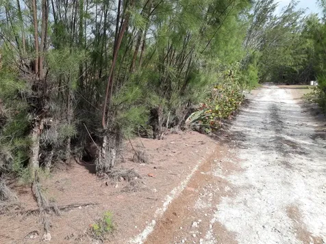 Whale Point Estates Eleuthera BS