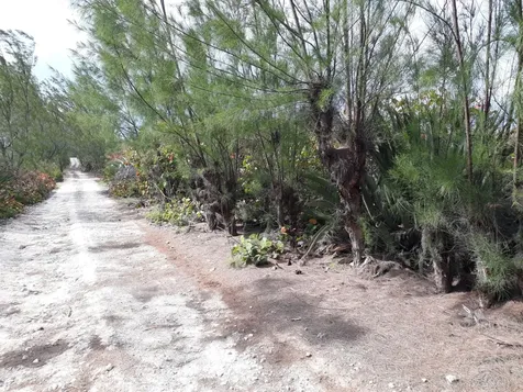 Whale Point Estates Eleuthera BS