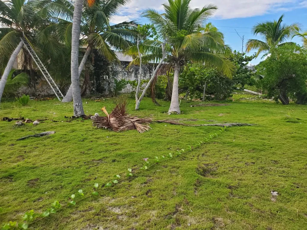 Pelican Shores Abaco BS