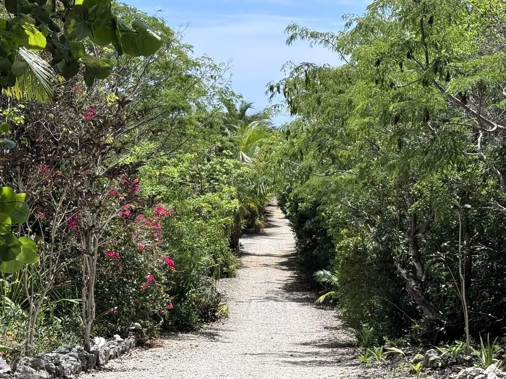 Blue View Lots 8 & 9 Abaco BS
