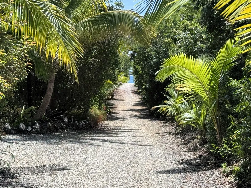 Blue View Lots 8 & 9 Abaco BS