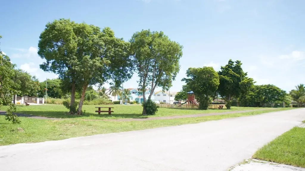 Star Estates New Providence Paradise Island BS