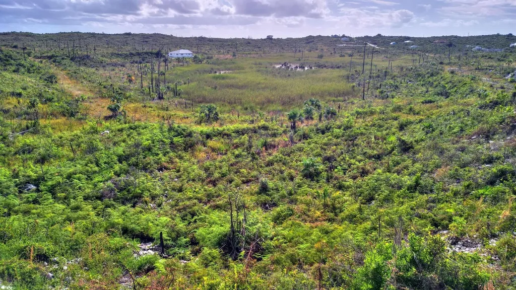 Bahama Coral Island Lot 7 Abaco BS