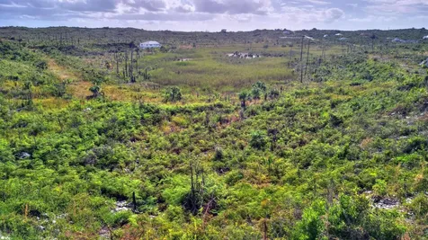 Bahama Coral Island Lot 7 Abaco BS
