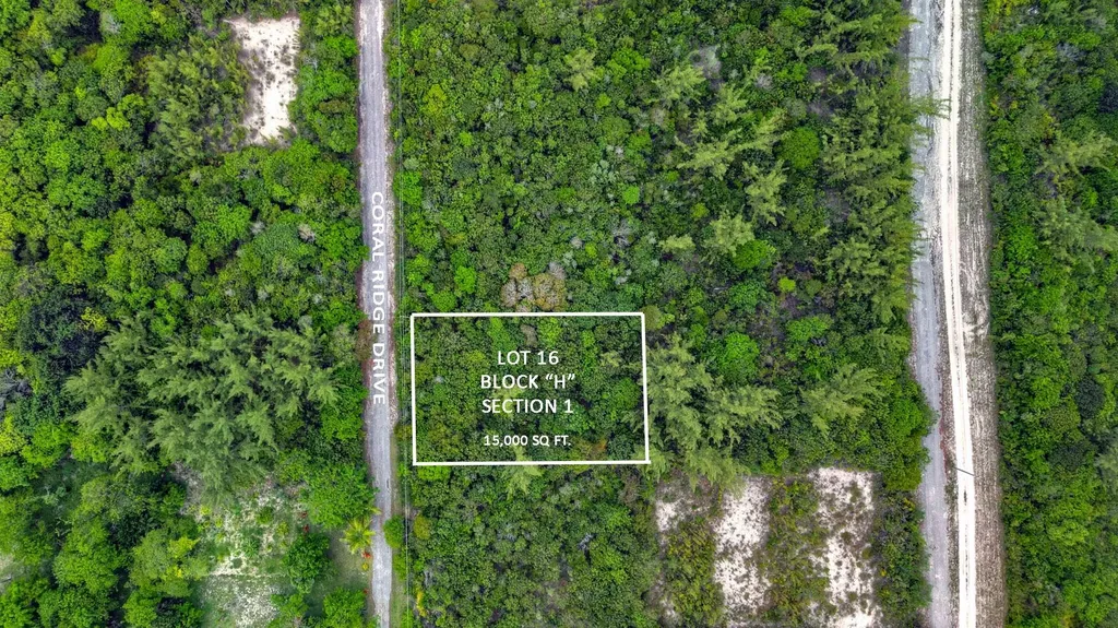 Bahama Palm Shores Lot 16 Abaco BS