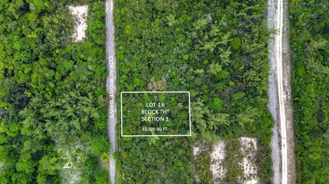 Bahama Palm Shores Lot 16 Abaco BS