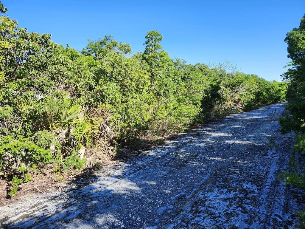 Bsd 11w Exuma BS