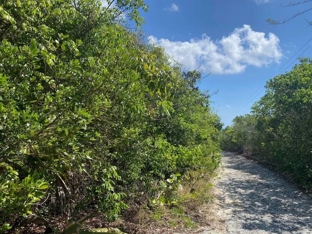 Eleuthera Island Shores Eleuthera BS