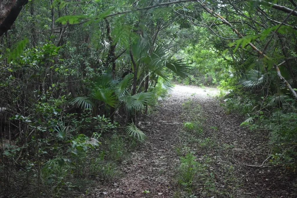 Eleuthera Island Shores Eleuthera BS