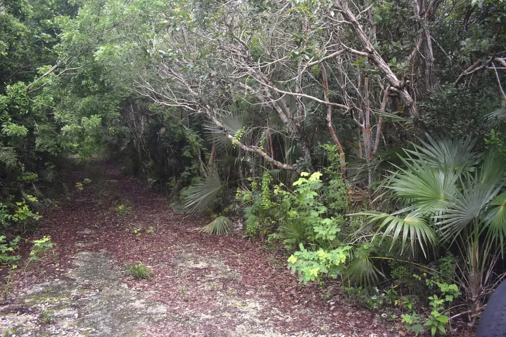 Eleuthera Island Shores Eleuthera BS