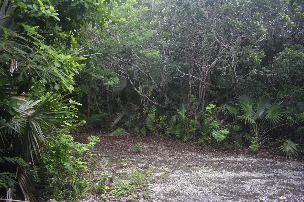 Eleuthera Island Shores Eleuthera BS
