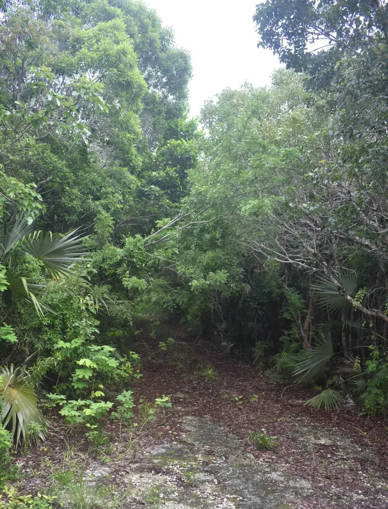 Eleuthera Island Shores Eleuthera BS