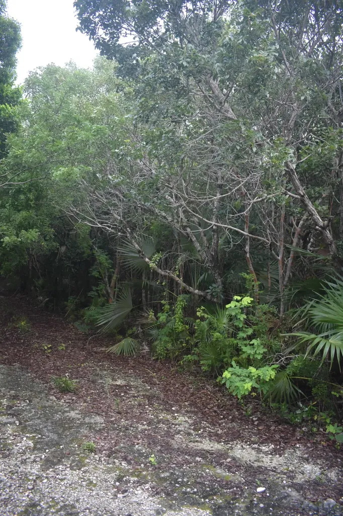 Eleuthera Island Shores Eleuthera BS