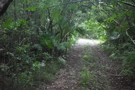 Eleuthera Island Shores Eleuthera BS
