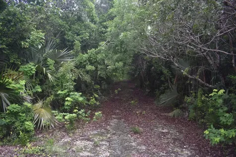 Eleuthera Island Shores Eleuthera BS