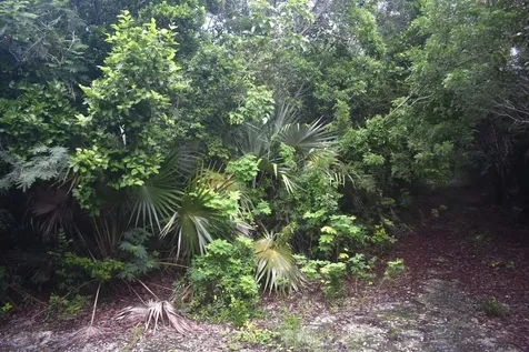 Eleuthera Island Shores Eleuthera BS