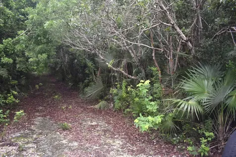 Eleuthera Island Shores Eleuthera BS