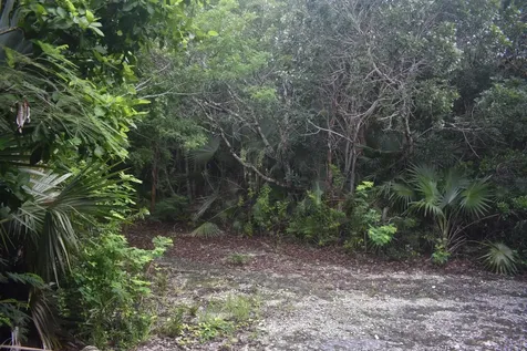 Eleuthera Island Shores Eleuthera BS