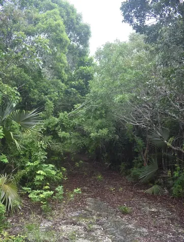 Eleuthera Island Shores Eleuthera BS