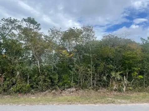 Pearl Lane 1 Grand Bahama Freeport BS