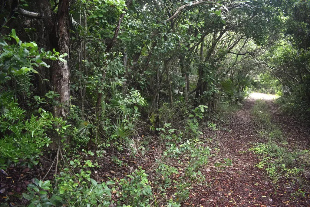 Eleuthera Island Shores Eleuthera BS