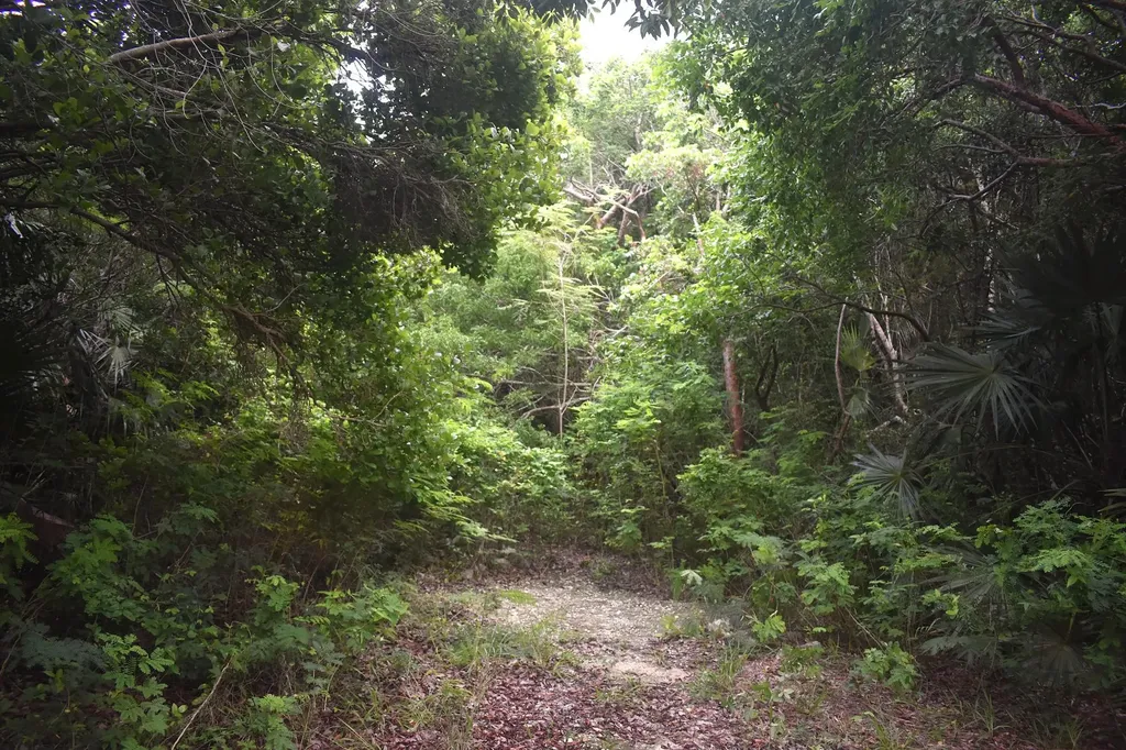 Eleuthera Island Shores Eleuthera BS